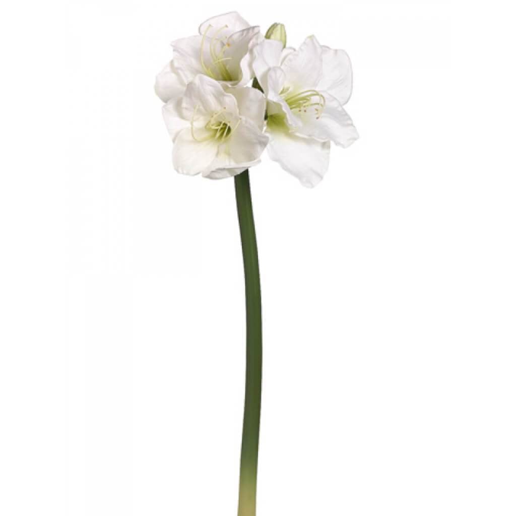 Amaryllis Spray 29" Wh 