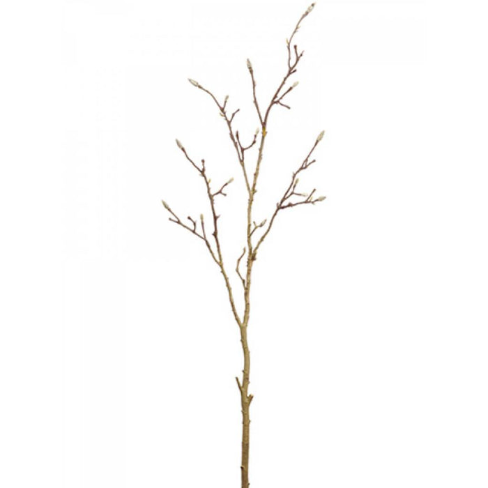 Magnolia Bud Branch 65" Br 