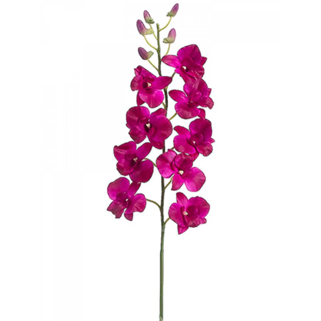 Dendrobium Spray 35" Oc 