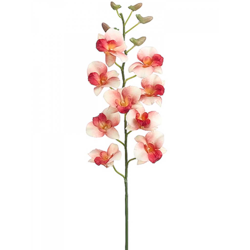 Dendrobium Spray 35" Pe 