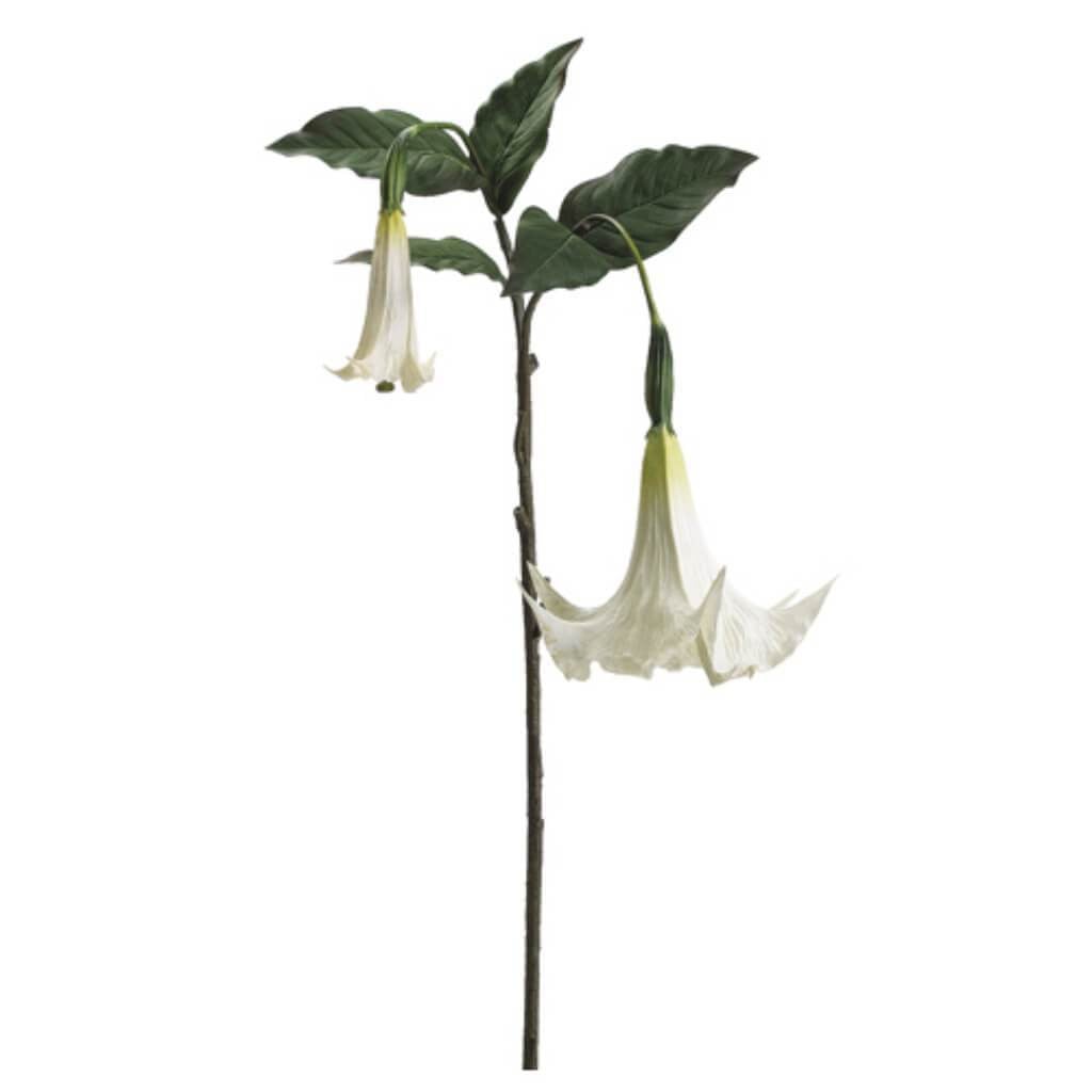Angel&#39;S Trumpet Spray 49&quot; Cr 