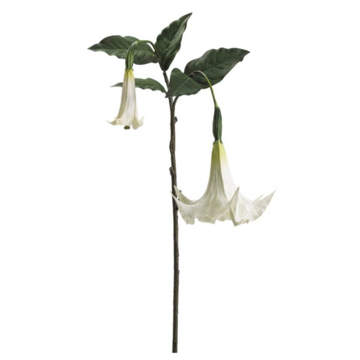 Angel'S Trumpet Spray 49" Cr 