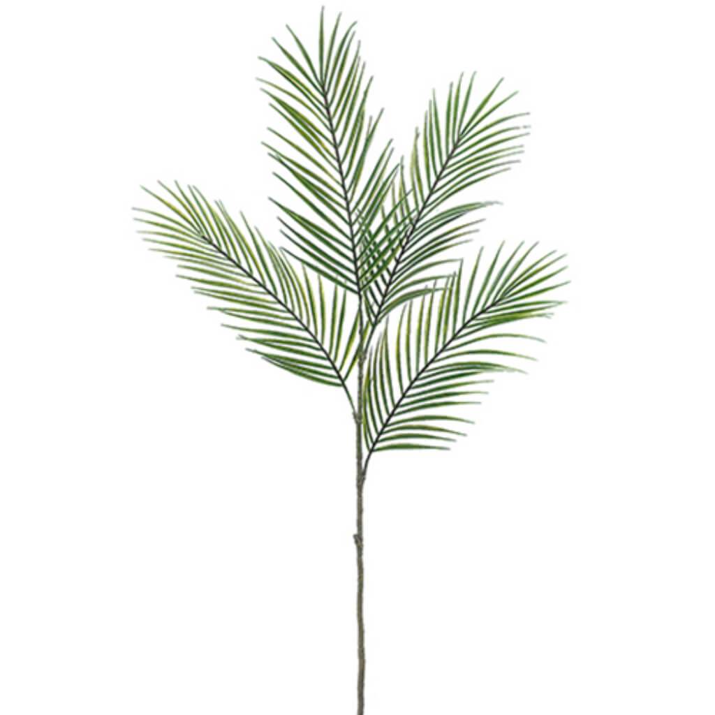 Palm Spray X4 44" Gr 