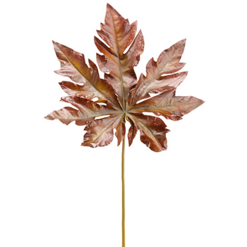 Paw Paw Spray 42" Bu 