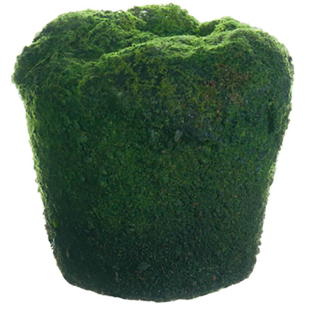 Moss/Soil Planter 4&quot; Hx4&quot; D Gr 