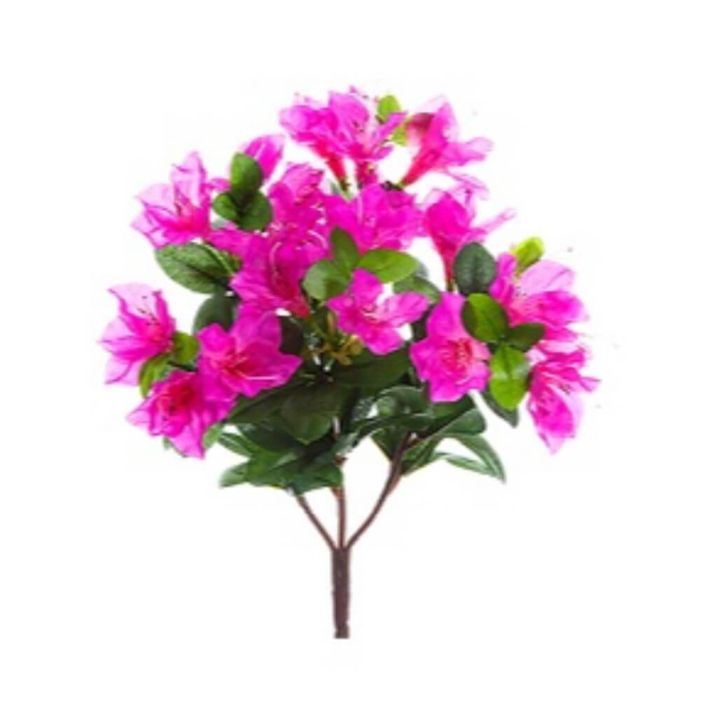 Azalea Bush X7 12" Fu 