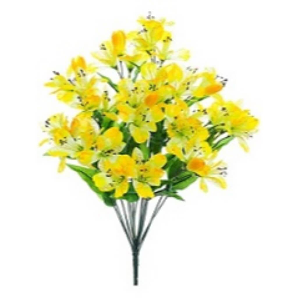 Alstroemeria Bush X14 20" Ye 