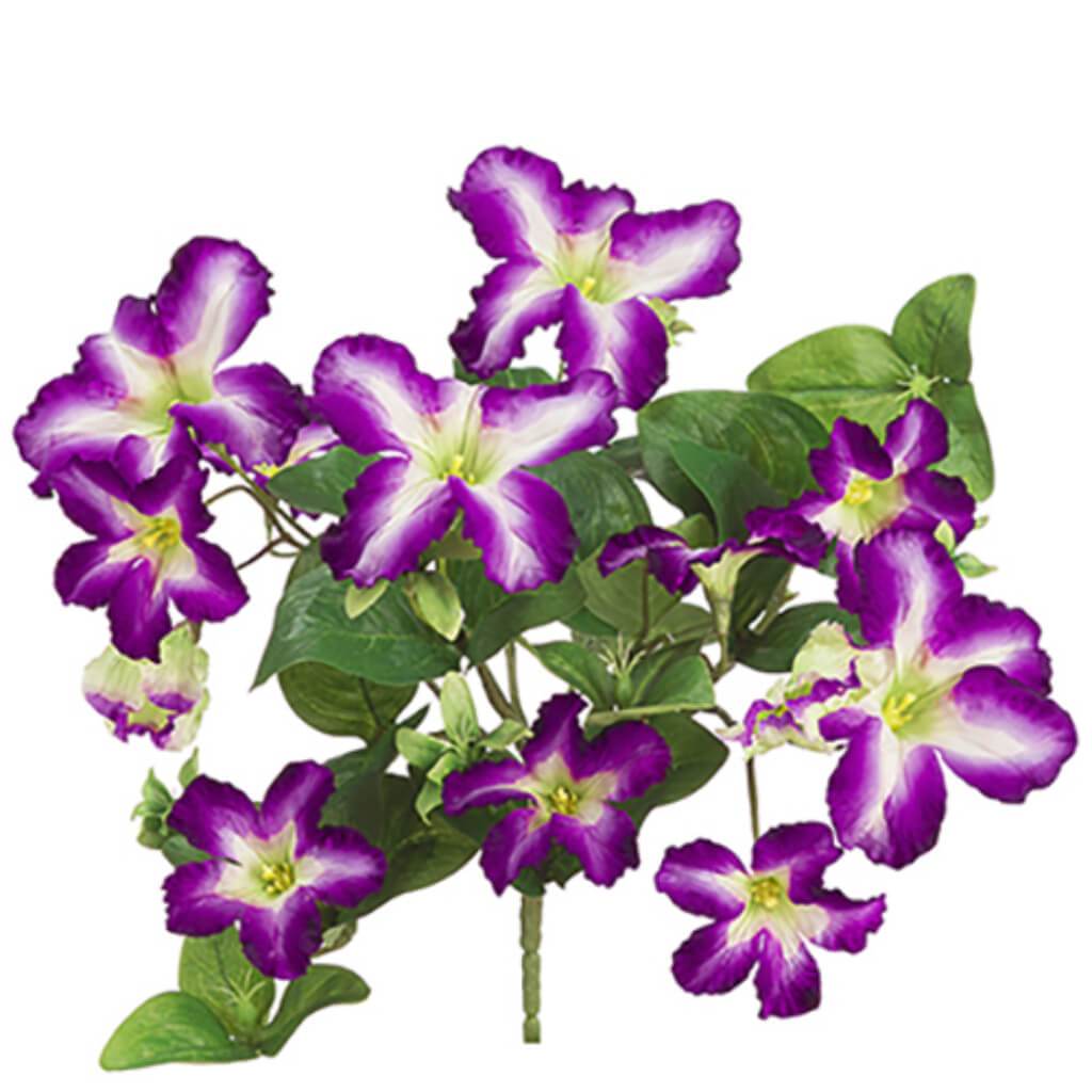 Petunia Bush 13&quot; Pu 