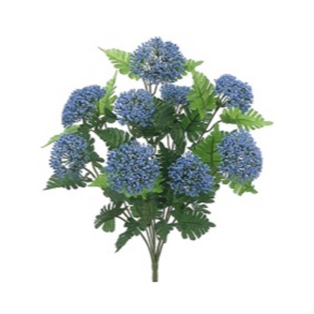 Queen Anne'S Lace Bush X9 18" 