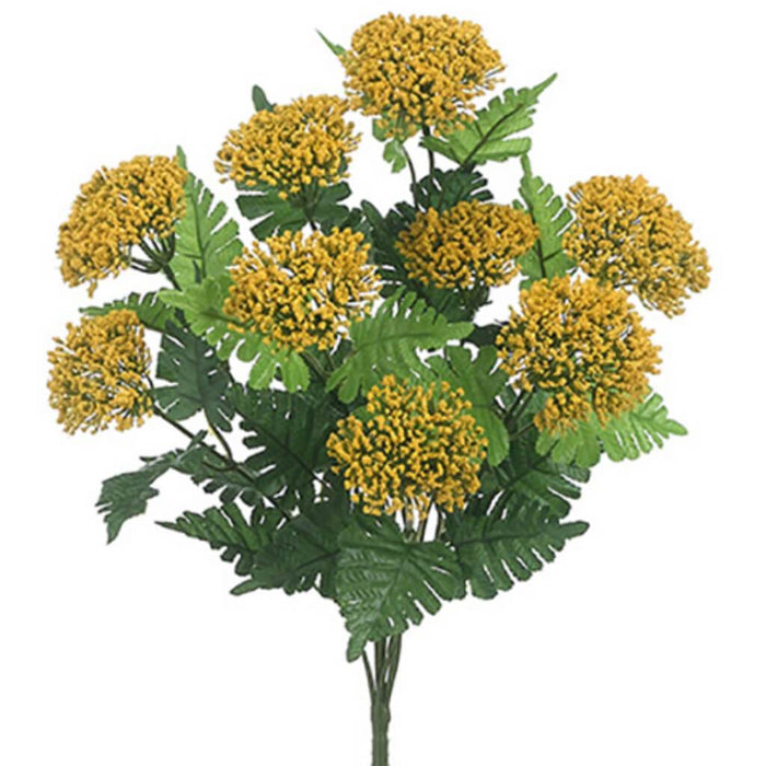 Queen Anne'S Lace Bush X9 18" 