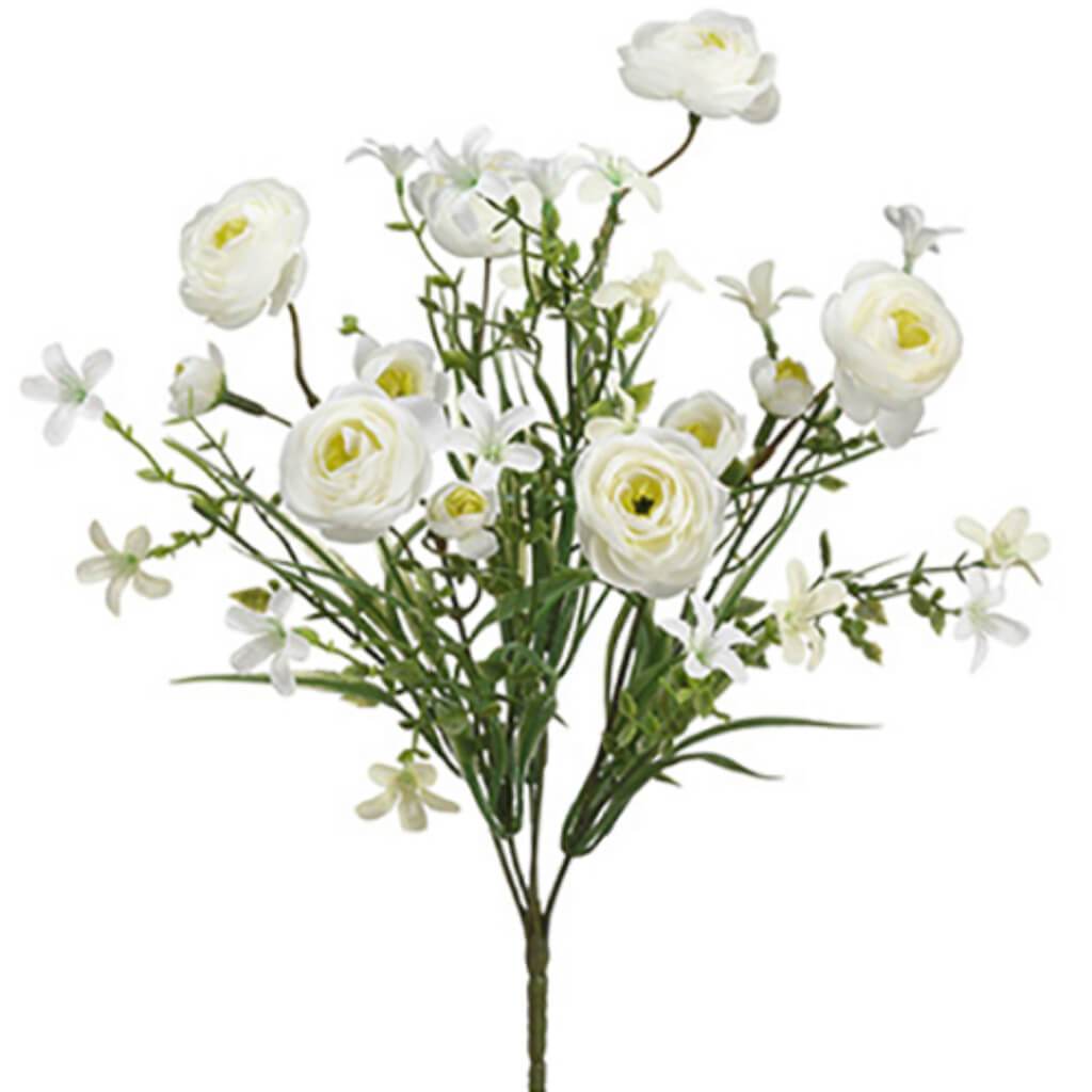 Ranunculus Bush X6 14" Cr 