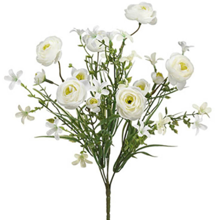 Ranunculus Bush X6 14" Cr 