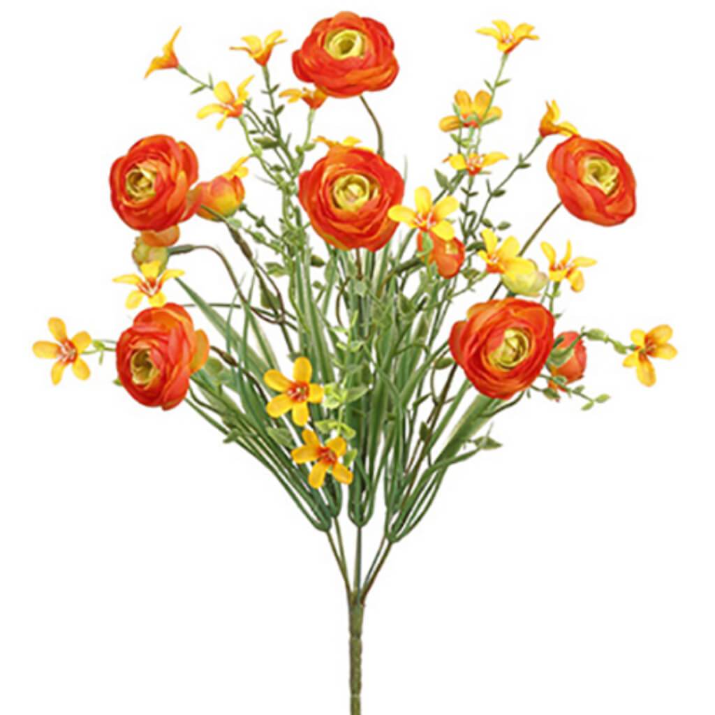Ranunculus Bush X6 14" Or 
