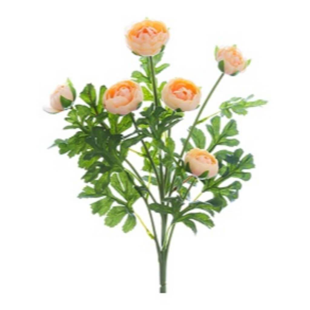 Mini Ranunculus Bush 17&quot; Pk/Cr 