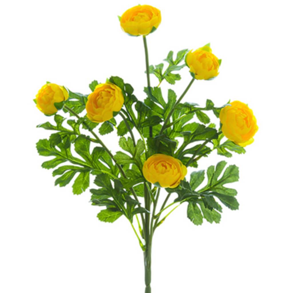 Mini Ranunculus Bush 17&quot; Ye 