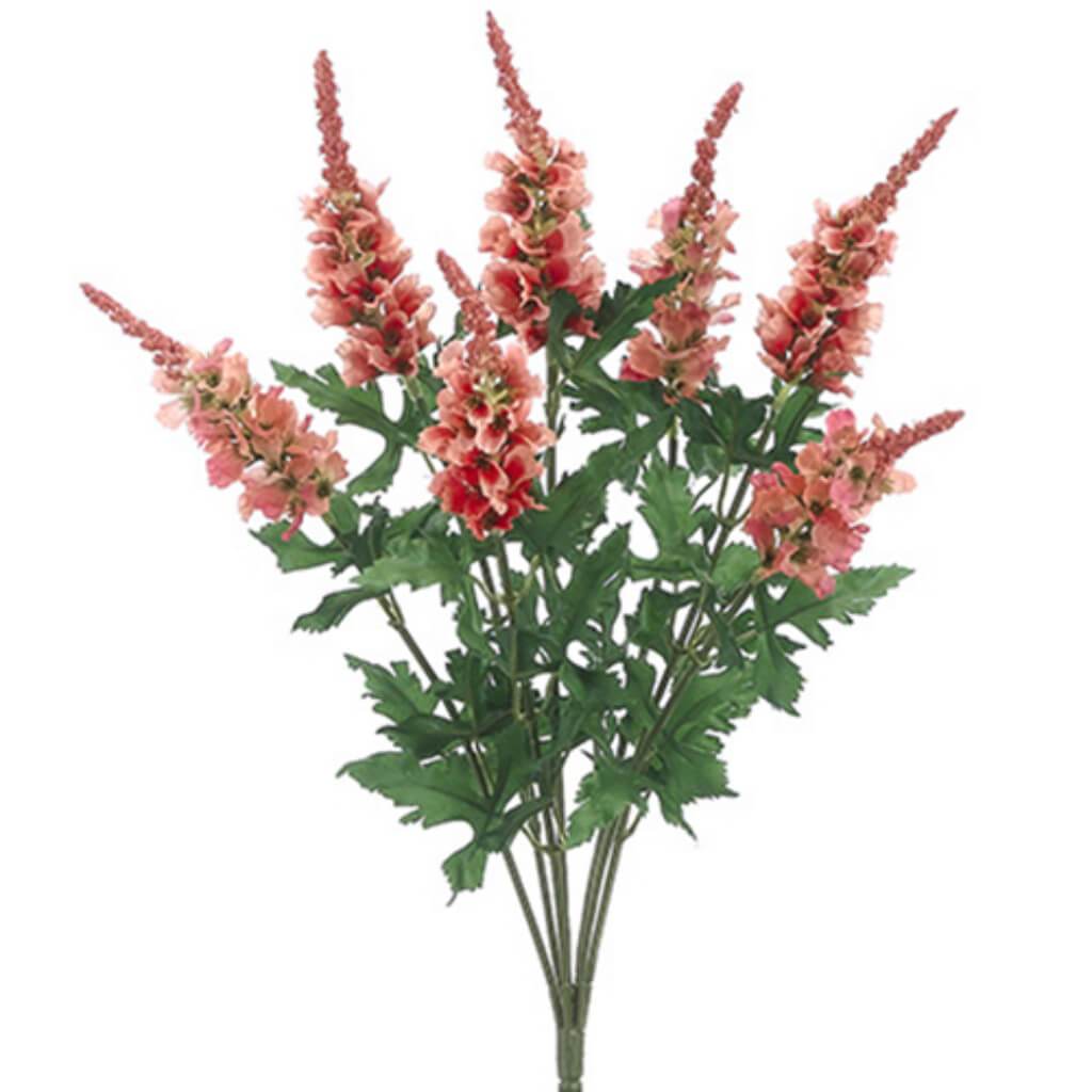 Snapdragon Bush X7 22&quot; Co 