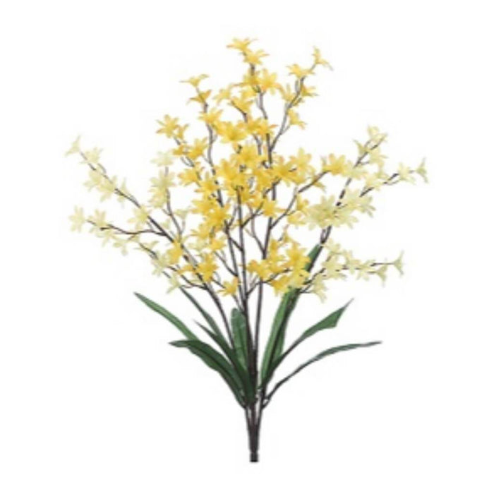 Tweedia Flower Bush X5 23" Yett 