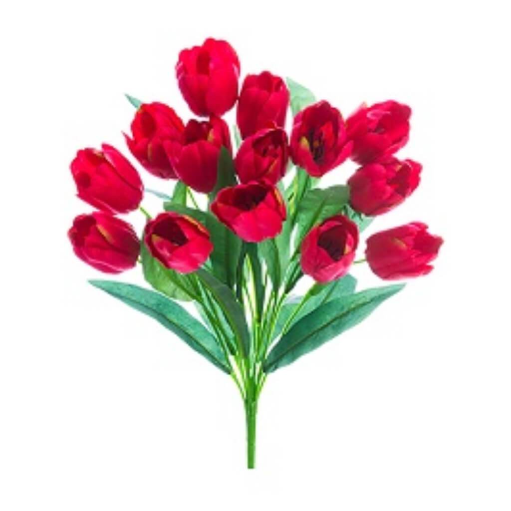 Tulip Bush X14 19&quot; Bt 