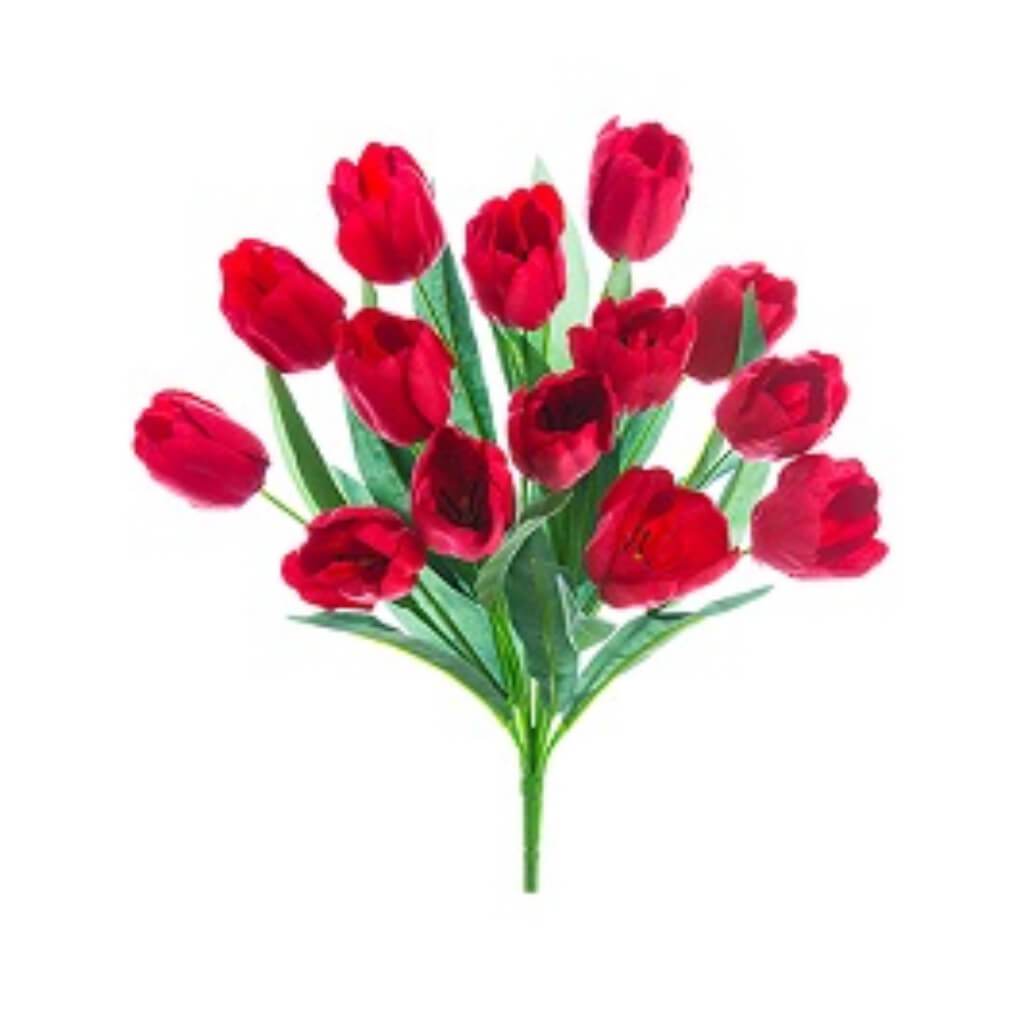 Tulip Bush X14 19" Re 