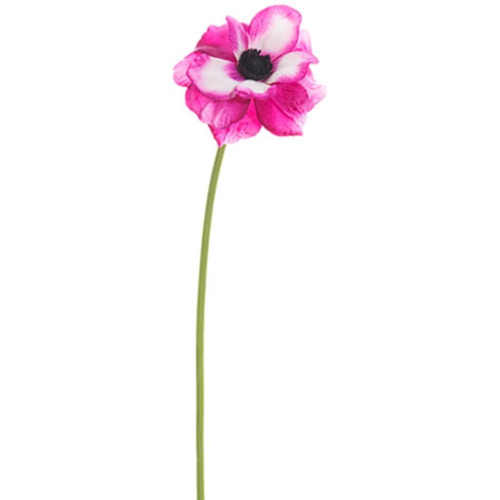 Anemone Spray 18" Rb 