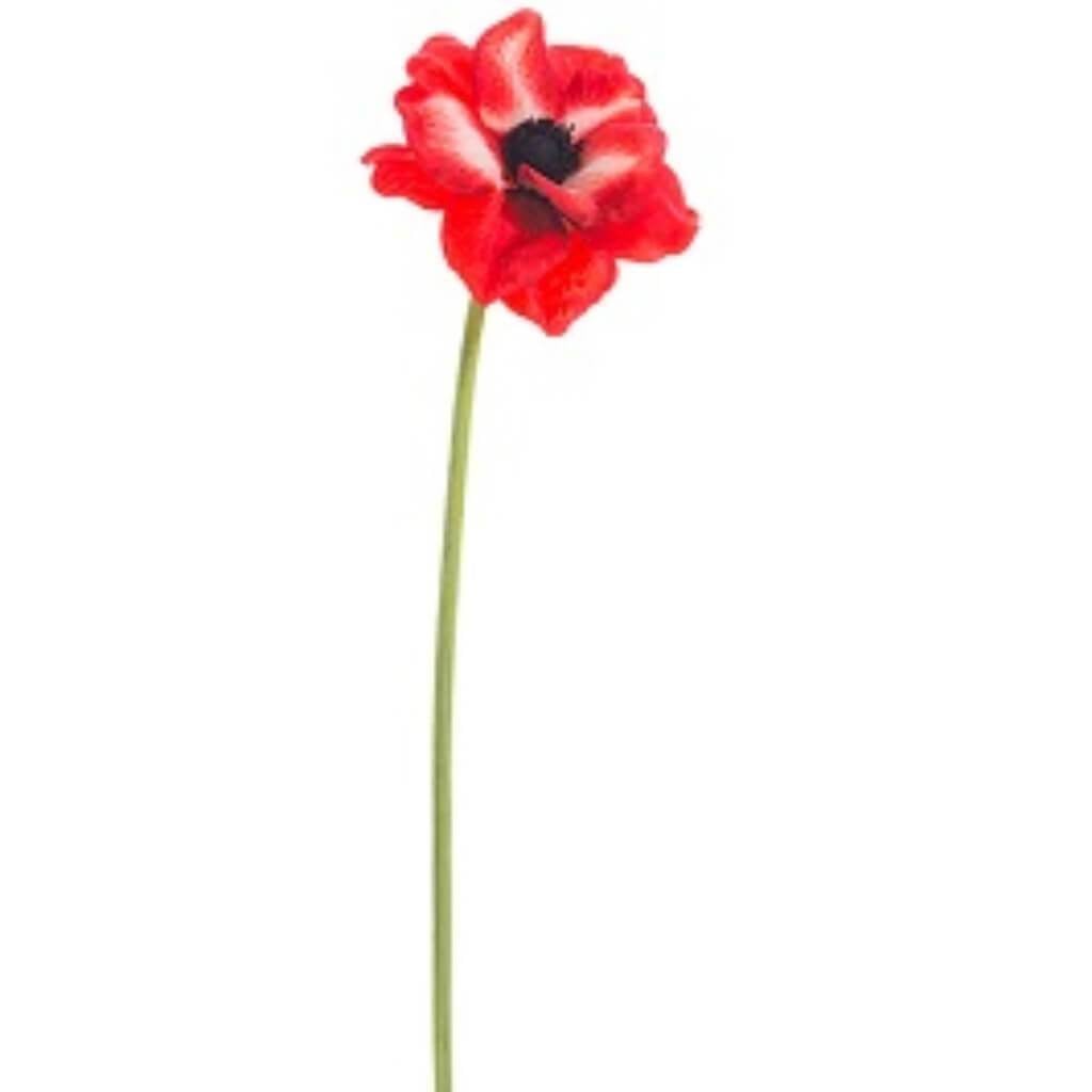 Anemone Spray 18&quot; Re 