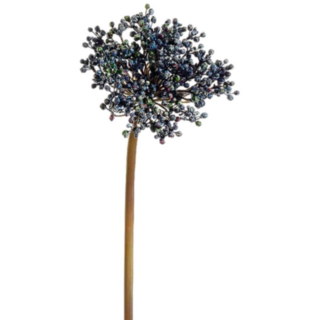 Allium Bud Spray 24" Bl/Tt 
