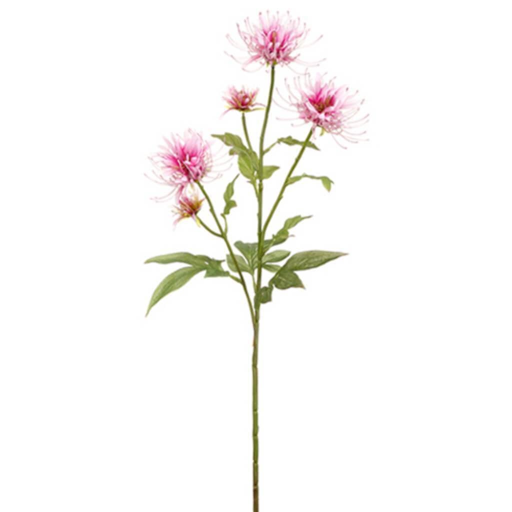 Bee Balm Spray 27" Ll 