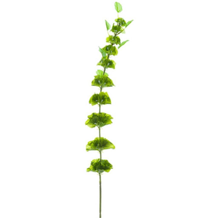 Bells Of Ireland Spray 33" Gr 