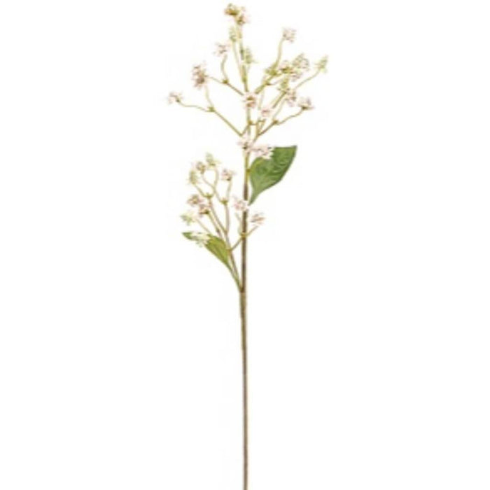 Baby'S Breath Spray 20" Pk/So 