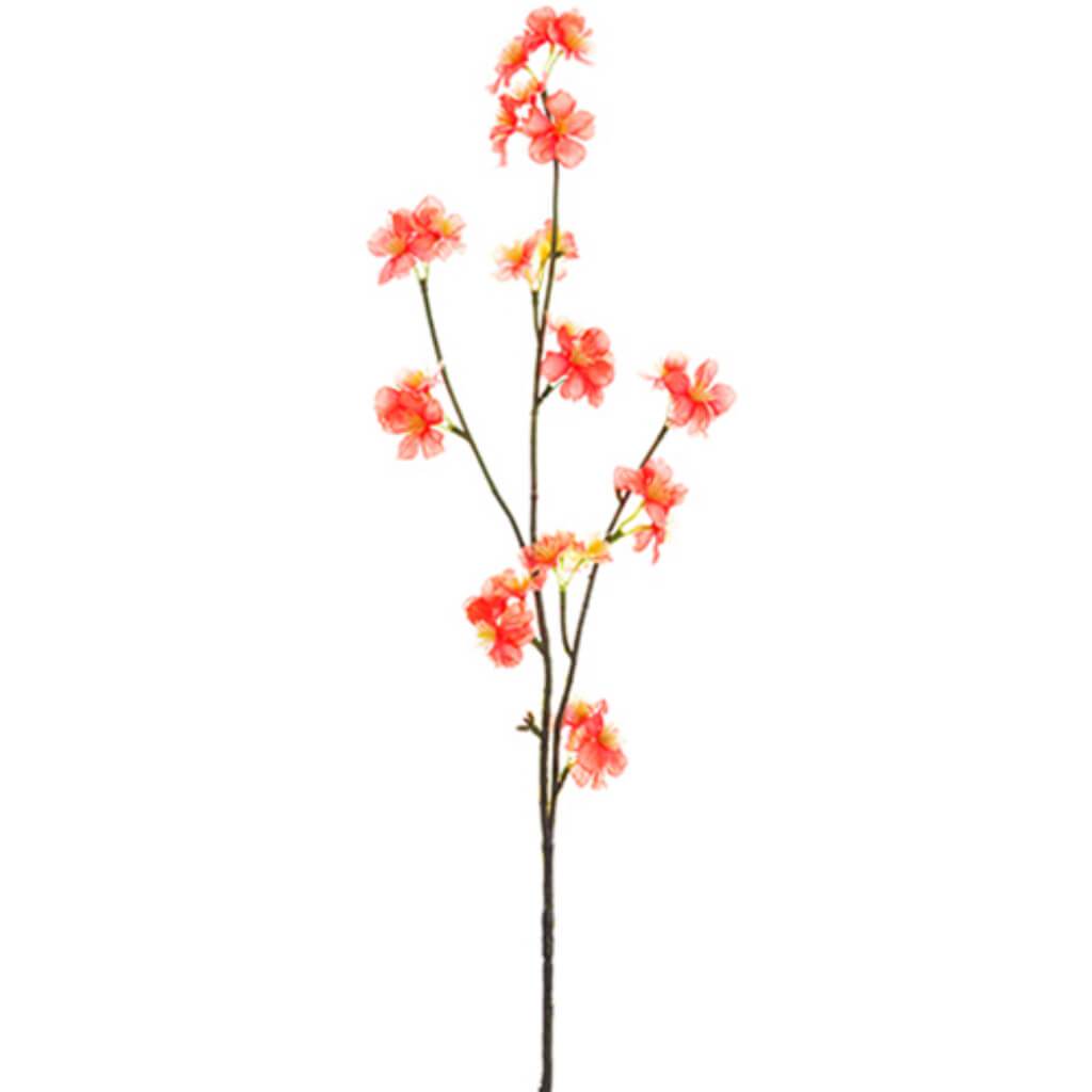 Quince Blossom Spray 31&quot; Co 