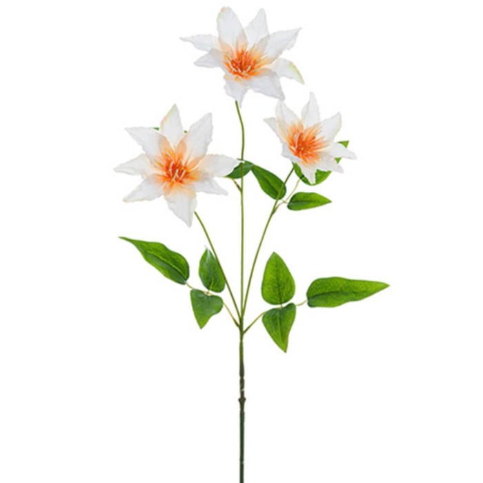 Clematis Spray 32" Pe 