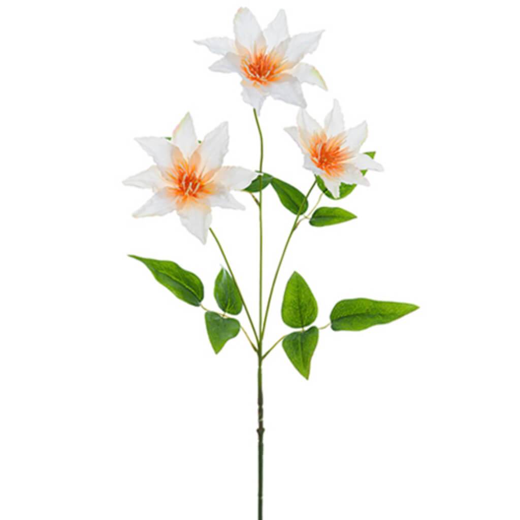 Clematis Spray 32" Pe 