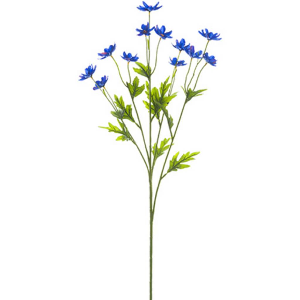 Mini Cosmos Spray X5 27" Bl 