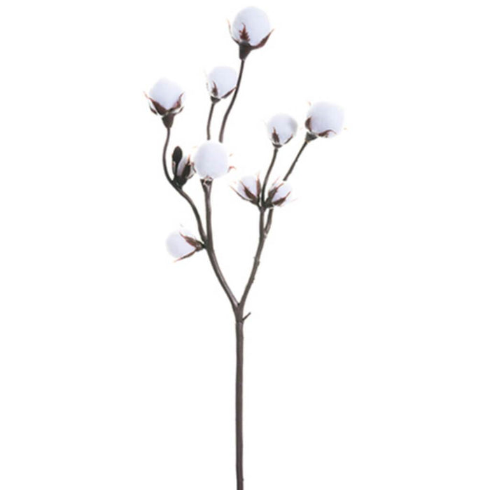 Cotton Spray 19" Wh 