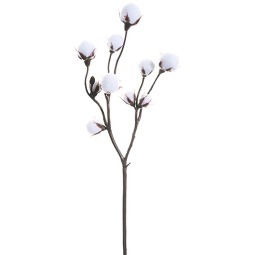 Cotton Spray 19&quot; Wh 