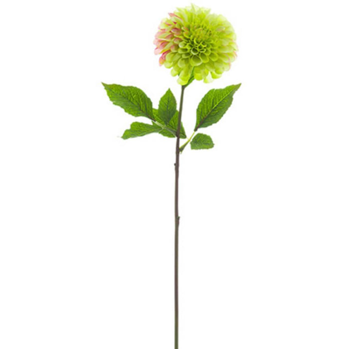 Dahlia Spray 24" Gr 
