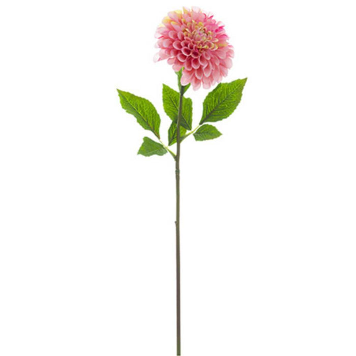 Dahlia Spray 24" Pk 