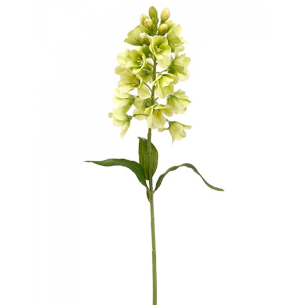 Fritillaria Spray 27&quot; Gr 