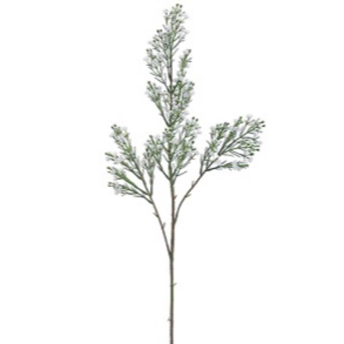 Gypsophila Spray X4 W/Buds 32" 
