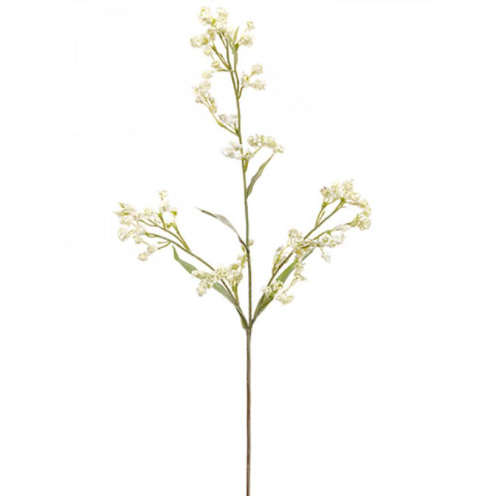 Gypsophila Spray 29" Wh 