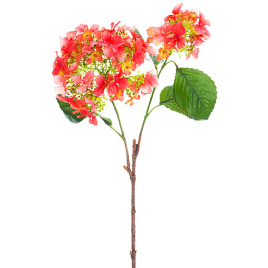 Hydrangea Spray 25" Co 