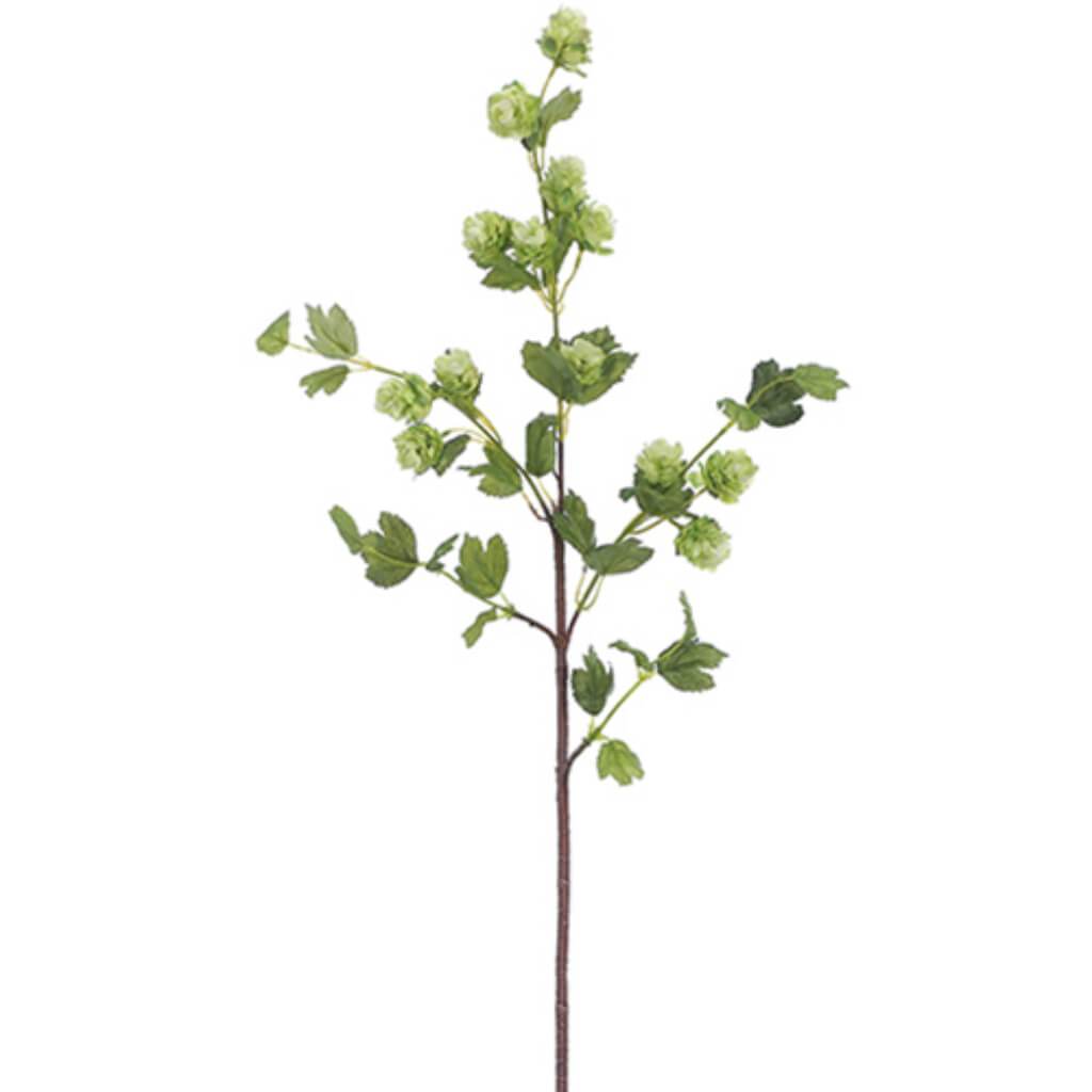 Hop Spray 36" Gr 