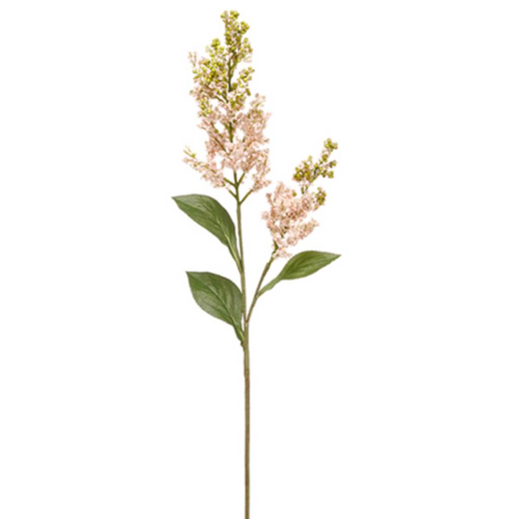 Heather Spray 33" Pk/So 
