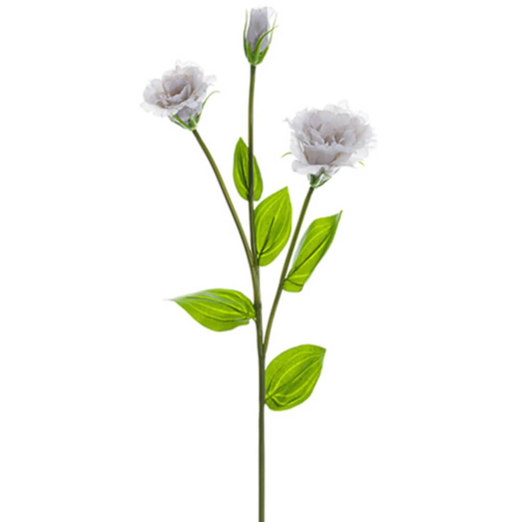 Lisanthus Spray 27" Gy 