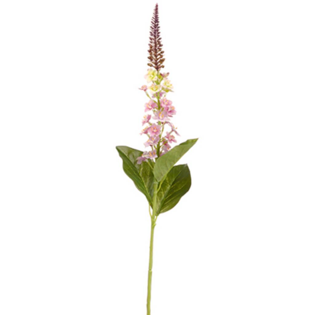 Lysimachia Spray 26&quot; Lv 
