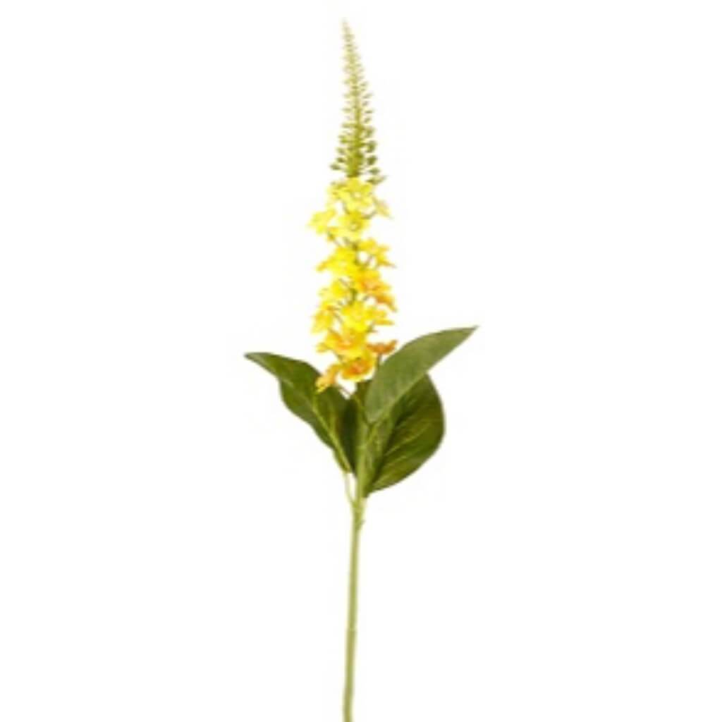 Lysimachia Spray 26&quot; Ye 