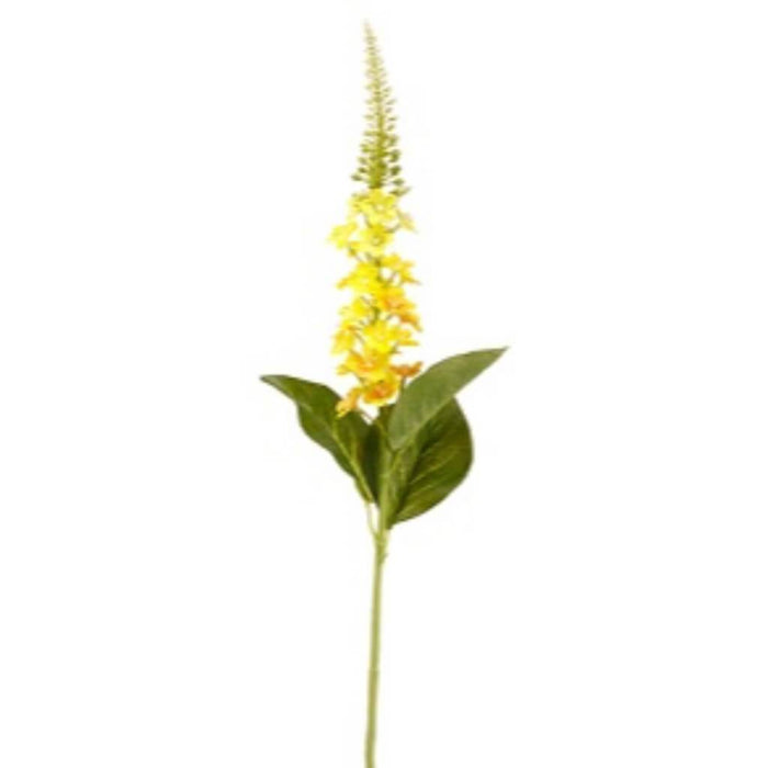 Lysimachia Spray 26" Ye 