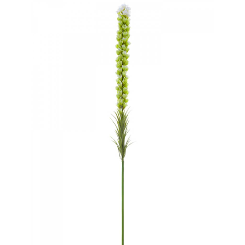 Liatris Spray 35" Cr/Gr 