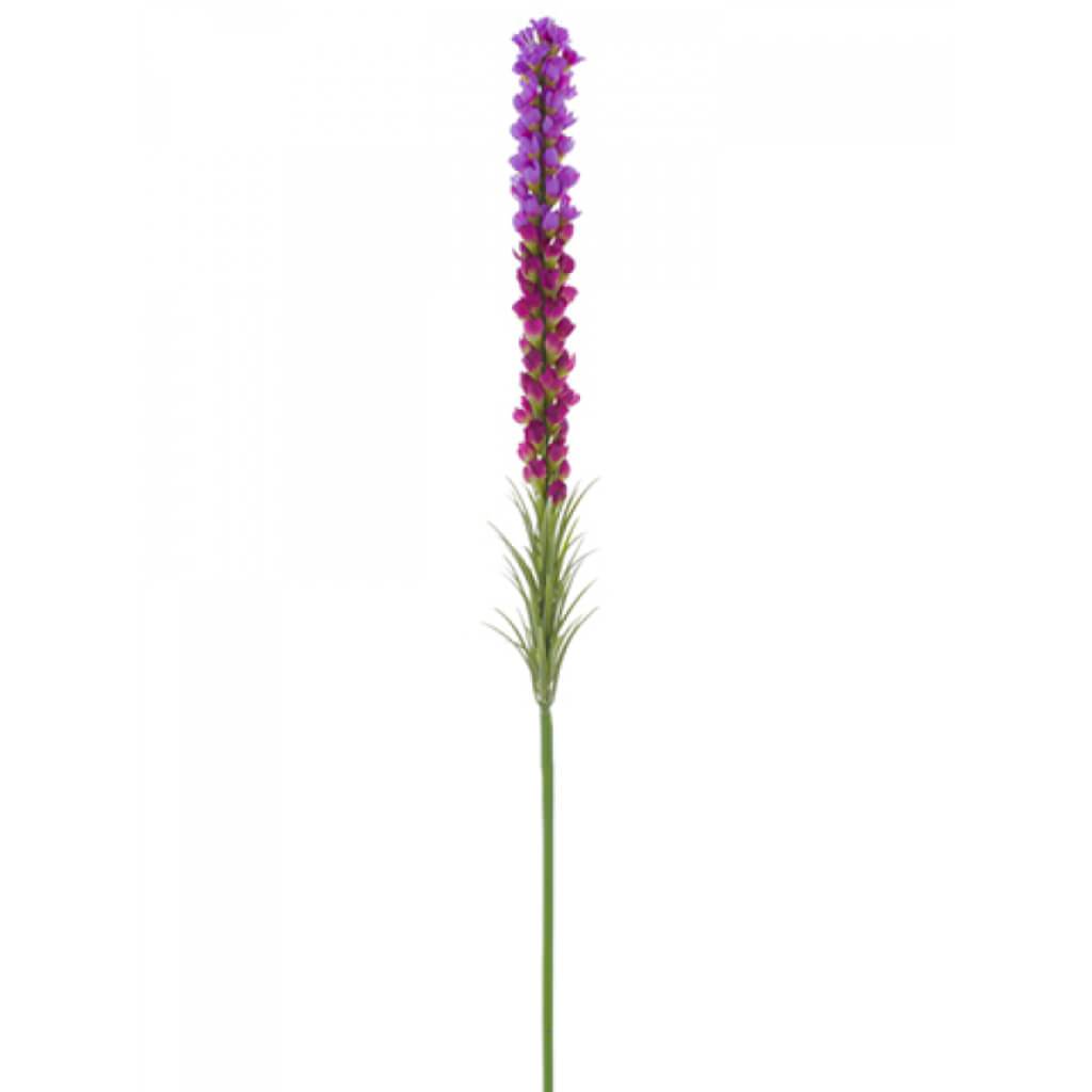 Liatris Spray 35" Lv/Oc 