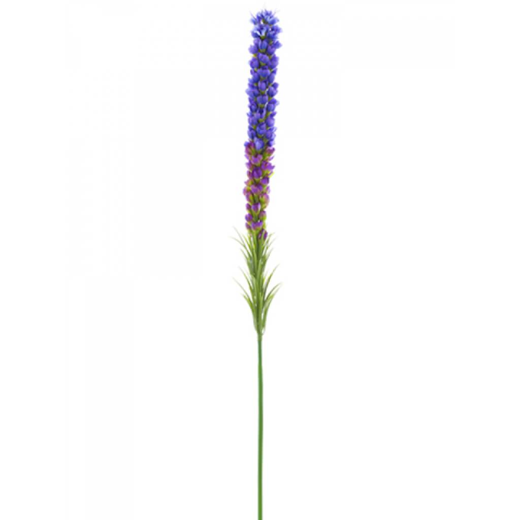 Liatris Spray 35&quot; Pu/Ay 